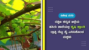  ದಕ್ಷಿಣ ಕನ್ನಡ: ಹಸಿರು ಶಾಲೆಯಲ್ಲಿ ಕೃಷಿ ಕ್ರಾಂತಿ; ದ್ರಾಕ್ಷಿ ನೆಟ್ಟು ಸೈ ಎನಿಸಿಕೊಂಡ ಮಕ್ಕಳು