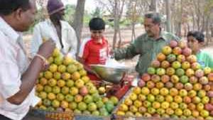 ಮೈಸೂರಿನಲ್ಲಿ ಮಾವಿನ ಹಣ್ಣಿನ ಮೇಳ; ಯಾವ ಮಾವು ಸಿಗಲಿವೆ?