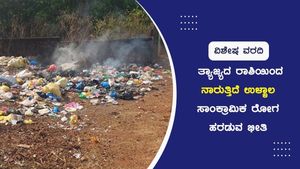 ತ್ಯಾಜ್ಯದ ರಾಶಿಯಿಂದ ನಾರುತ್ತಿದೆ ಉಳ್ಳಾಲ; ಸಾಂಕ್ರಾಮಿಕ ರೋಗ ಹರಡುವ ಭೀತಿ