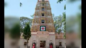 ಮಂಡ್ಯ; ಮರ ಏರಿ ಕೂತ ದೇವಿ ಬಲಿಗೆ ತಂದಿದ್ದ ಕೋಳಿ, ಹೈಡ್ರಾಮ!