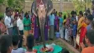 ವೈರಲ್ ವಿಡಿಯೋ; ತಮಿಳುನಾಡಿನಲ್ಲಿ ಆನೆಯ 20ನೇ ಹುಟ್ಟುಹಬ್ಬ ಆಚರಣೆ