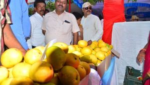 ಬಳ್ಳಾರಿಯಲ್ಲಿ ಮೊದಲ ಮಾವು ಮೇಳ; 300 ತಳಿಗಳ ಪ್ರದರ್ಶನ, ಮಾರಾಟ