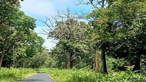 ಮುಂಗಾರಿಗೂ ಮೊದಲೇ ಮಳೆ, ನಾಗರಹೊಳೆಗೆ ಬಂತು ಜೀವಕಳೆ 