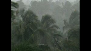ದಾವಣಗೆರೆ: ಭಾರಿ ಮಳೆ, ಗಾಳಿಗೆ 300 ಅಡಿಕೆ ಮರಗಳು ನೆಲಸಮ