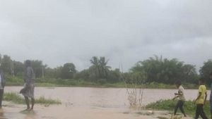 ಮೈಸೂರು; ತಂಬಾಕು ಬೆಳೆಯುವ ರೈತರನ್ನು ಕಾಡಿದ ಅಸನಿ ಚಂಡಮಾರುತ 