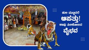 ವಿಶೇಷ: ಹುಲಿ ಮುಟ್ಟಿದರೆ ಆಪತ್ತು! ಕಾಪು ಪಿಲಿಕೋಲದ ವೈಭವ 