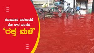 ಹವಾಮಾನ ಬದಲಾವಣೆ: ಮೇ 21ರ ನಂತರ 'ರಕ್ತ ಮಳೆ' ಎಚ್ಚರಿಕೆ 