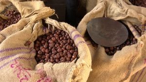 ಶಿವಮೊಗ್ಗ: ಒಂದು ಕೋಟಿ ರೂ. ಮೌಲ್ಯದ ಅಡಕೆ ತುಂಬಿದ್ದ ಲಾರಿ ನಾಪತ್ತೆ 