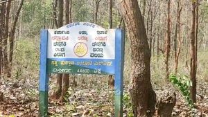 ಈ ಅರಣ್ಯ ಪ್ರದೇಶದಲ್ಲಿದೆ ಚಿಪ್... ಯಾಮಾರಿಸಿ ಕಳ್ಳತನ ಮಾಡಲು ಪ್ರಯತ್ನಿಸಿದರೆ ಹುಷಾರ್..! 