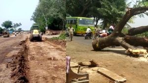 ಬಾಗಲಕೋಟೆ: ರಸ್ತೆ ಅಗಲೀಕರಣಕ್ಕಾಗಿ ಮರಗಳ ಹನನ
