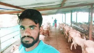  ಟಗರು ಸಾಕಾಣಿಕೆ; ಬಾಗಲಕೋಟೆ ರೈತನ ಯಶಸ್ಸಿನ ಕಥೆ 