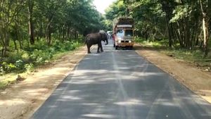 ಚಾಮರಾಜನಗರದಲ್ಲಿ ಆನೆ ದಾದಾಗಿರಿ; ಲಾರಿ ಅಡ್ಡಗಟ್ಟಿ ಕಬ್ಬು ವಸೂಲಿ