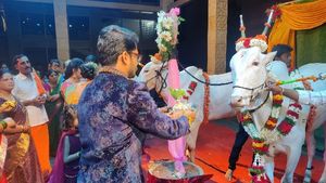  ಪ್ರೀತಿಯಿಂದ ಸಾಕಿದ ಜೋಡೆತ್ತುಗಳನ್ನು ಸಿಂಗರಿಸಿ ಮದುವೆ ಮನೆಗೆ ಕರೆತಂದ ಯುವರೈತ