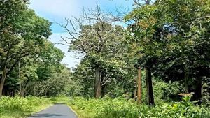ಅರಣ್ಯದಲ್ಲಿ ಸೋಂಕು ಮುಕ್ತ ಪರಿಸರ ನಿರ್ಮಾಣವಾಗಲಿ