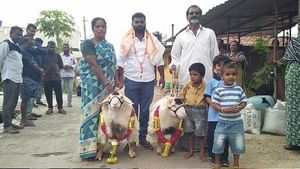 ಬಂಡೂರು ಕುರಿಗೆ ಬಂಪರ್ ರೇಟ್, 1.5 ಲಕ್ಷ ರೂ.ಗೆ ಖರೀದಿ