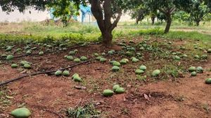 ರಾಯಚೂರಿನಲ್ಲಿ ಬಿರುಗಾಳಿ ಮಳೆಗೆ 20ಕ್ಕೂ ಹೆಚ್ಚು ಮನೆಗಳಿಗೆ ಹಾನಿ 