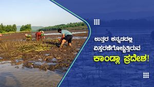 ಉತ್ತರ ಕನ್ನಡದಲ್ಲಿ ವಿಸ್ತರಣೆಗೊಳ್ಳುತ್ತಿರುವ ಕಾಂಡ್ಲಾ ಪ್ರದೇಶ! 