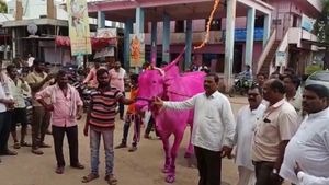  ಬಾಗಲಕೋಟೆ: ದಾಖಲೆಯ 13.5 ಲಕ್ಷ ರೂ.ಗೆ ಮಾರಾಟವಾಯ್ತು 5 ವರ್ಷದ ಎತ್ತು 