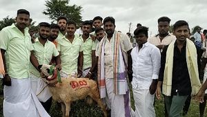 ದೇವರಿಗೆ ಕುರಿ ಕರೆಯುವ ಉತ್ಸವದ ಕುರಿಗಳ ಮೈಮೇಲೆ ನಟ ದರ್ಶನ್‌ ಹೆಸರು 