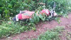 ಕಾಡಾನೆ ಕಾಲಿನ ತುಳಿತಕ್ಕೆ 45 ವರ್ಷದ ಅರಣ್ಯ ಅಧಿಕಾರಿ ಸಾವು 