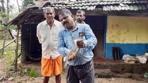  ಉತ್ತರ ಕನ್ನಡ: ಭಾರಿ ಮಳೆಯನಂತರ ಎಲ್ಲೆಂದರಲ್ಲಿ ಪ್ರತ್ಯಕ್ಷವಾಗುತ್ತಿವೆ ಹಾವುಗಳು, ಬೆಸ್ತು ಬಿದ್ದ ಜನ ! 