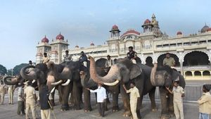 Mysuru Dasara 2022: ಮೈಸೂರು ದಸರಾ; ಜಂಬೂ ಸವಾರಿಗೆ 5 ಹೊಸ ಆನೆ! 