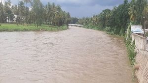 ಐದು ದಶಕಗಳ ಬಳಿಕ ಅರ್ಕಾವತಿ ನದಿಗೆ ಜೀವಕಳೆ! 