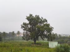 ಚಿತ್ರದುರ್ಗದಲ್ಲಿ ತುಂತುರು ಮಳೆ: ರೈತರ ಮೊಗದಲ್ಲಿ ಸಂತಸ