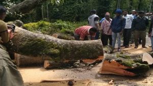 ಚಿಕ್ಕಮಗಳೂರು; ನಿಲ್ಲದ ಮಳೆಯ ಅಬ್ಬರ, ಅವಾಂತರ