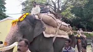 ಮೈಸೂರು ದಸರಾ: ಗಜಪಡೆಗೆ ಭಾರ ಹೊರಿಸುವ ತಾಲೀಮು ಶುರು 
