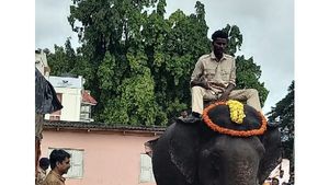 ಮೈಸೂರು ದಸರಾ ಸಂಭ್ರಮ: ತೂಕ ಪರೀಕ್ಷೆಯಲ್ಲಿ ಯಾವ ಆನೆ ಬಲಶಾಲಿ?
