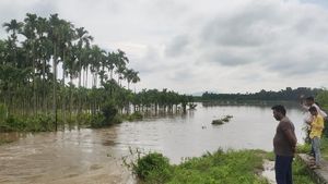 ಶಿವಮೊಗ್ಗ: ಒಡೆದ ಭದ್ರಾ ಎಡದಂಡೆ ಕಾಲುವೆ ತಡೆಗೋಡೆ, ಬೆಳೆಗಳು ಜಲಾವೃತ