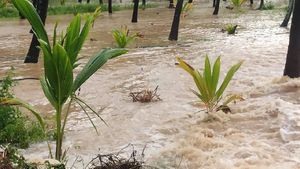  ರಾಮನಗರ ಜಿಲ್ಲೆಯಲ್ಲಿ ವರುಣನ ಅವಾಂತರ; ದಶಪಥ ಹೆದ್ದಾರಿ ಬಳಿ ನೀರು 