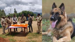 ಕಾಡುಗಳ್ಳರ ಹಂಟರ್ ರಾಣಾ ನಿಧನ: ಬಂಡೀಪುರದಲ್ಲಿ ನೀರವ ಮೌನ 