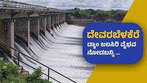 ದಾವಣಗೆರೆ: ದೇವರಬೆಳಕೆರೆ ಡ್ಯಾಂನಿಂದ ಹೊರಬರುತ್ತಿರುವ ಜಲಸಿರಿ ವೈಭವ ನೋಡಬನ್ನಿರಿ 