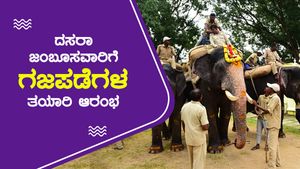 ದಸರಾ ಜಂಬೂಸವಾರಿಗೆ ಗಜಪಡೆಗಳ ತಯಾರಿ ಆರಂಭ!