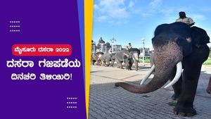 ದಸರಾ ವಿಶೇಷ; ಮೈಸೂರು ದಸರಾ ಗಜಪಡೆಯ ದಿನಚರಿ ಹೇಗಿದೆ ಗೊತ್ತಾ? 