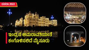  4.81 ಕೋಟಿ ರೂ ವೆಚ್ಚ ,124 ಕಿಮೀ ದೀಪಾಲಂಕಾರ, ಇಂದ್ರನ ಅಮರಾವತಿಯಂತೆ ಕಂಗೊಳಿಸಲಿದೆ ಮೈಸೂರು 