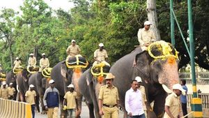  ದಸರಾ ಉತ್ಸವ: ಎರಡನೇ ಹಂತದಲ್ಲಿ ಅರಮನೆ ಪ್ರವೇಶಕ್ಕೆ ಸಜ್ಜಾದ 5 ಆನೆಗಳು 