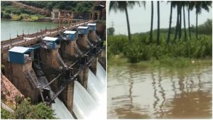 ಬಾಗಲಕೋಟೆ: ನವಿಲುತೀರ್ಥ ಜಲಾಶಯ ಭರ್ತಿ, ಜಮೀನುಗಳಿಗೆ ನೀರು ನುಗ್ಗಿ ಬೆಳೆ ಹಾನಿ 