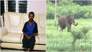 ಚಿಕ್ಕಮಗಳೂರು: ತಿಂಗಳ ಅಂತರದಲ್ಲಿ ಕಾಡಾನೆ ದಾಳಿಗೆ 2ನೇ ಬಲಿ 