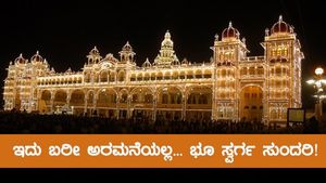 ಇದು ಬರೀ ಅರಮನೆಯಲ್ಲ... ಭೂ ಸ್ವರ್ಗ ಸುಂದರಿ!