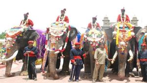 ಮೈಸೂರು ದಸರಾ ವಿಶೇಷ; ದಸರಾ ಗಜಪಡೆ ಸುಂದರವಾಗಿ ಕಾಣುವುದು ಹೇಗೆ? 