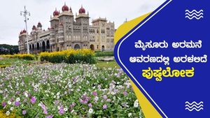 Dasara Flower Show 2022: ಮೈಸೂರು ಅರಮನೆ ಆವರಣದಲ್ಲಿ ಅರಳಲಿದೆ ಪುಷ್ಪಲೋಕ 