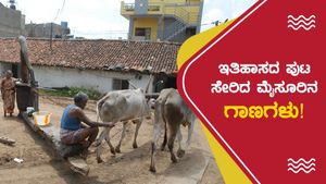 ಸಾಂಸ್ಕೃತಿಕ ನಗರಿ ಮೈಸೂರಿನಲ್ಲಿ ಎತ್ತಿನ ಗಾಣಗಳ ಯುಗಾಂತ್ಯ! 