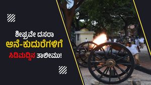 ದಸರಾ ಆನೆ-ಕುದುರೆಗಳಿಗೆ ಸಿಡಿಮದ್ದಿನ ತಾಲೀಮು! 