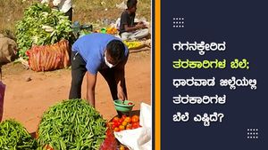 ಗಗನಕ್ಕೇರಿದ ತರಕಾರಿಗಳ ಬೆಲೆ; ಧಾರವಾಡ ಜಿಲ್ಲೆಯಲ್ಲಿ ತರಕಾರಿಗಳ ಬೆಲೆ ಎಷ್ಟಿದೆ? 