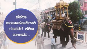  ಮೈಸೂರು ದಸರಾ: ಜಂಬೂಸವಾರಿಗಾಗಿ ಗಜಪಡೆಗೆ ಕಠಿಣ ತಾಲೀಮು 
