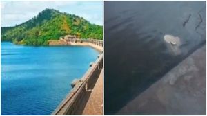 Vani Vilasa Sagar : 89 ವರ್ಷಗಳ ಬಳಿಕ ಕೋಡಿ ಬಿದ್ದ ವಿವಿ ಸಾಗರ ಜಲಾಶಯ ..! 