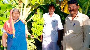  ಸಾವಯವ ಕೃಷಿಯಲ್ಲಿ ಖುಷಿಕಂಡ ಮಸ್ಕಿ ತಾಲೂಕಿನ ಅಮೀನಗಡ ಸಹೋದರರು 